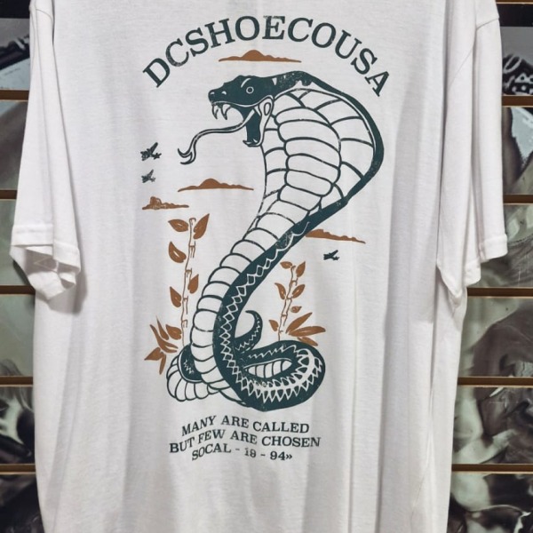 WhatsApp Image 2025-08-20 at 11.22.00